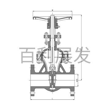 600 pound gate valve