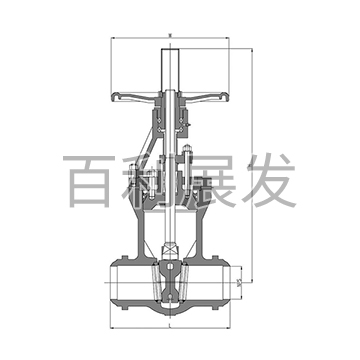 900 pound gate valve